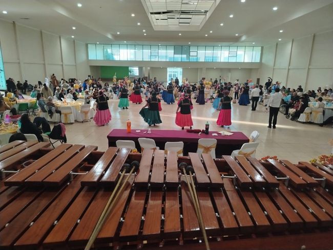 MARIMBA LOGAN