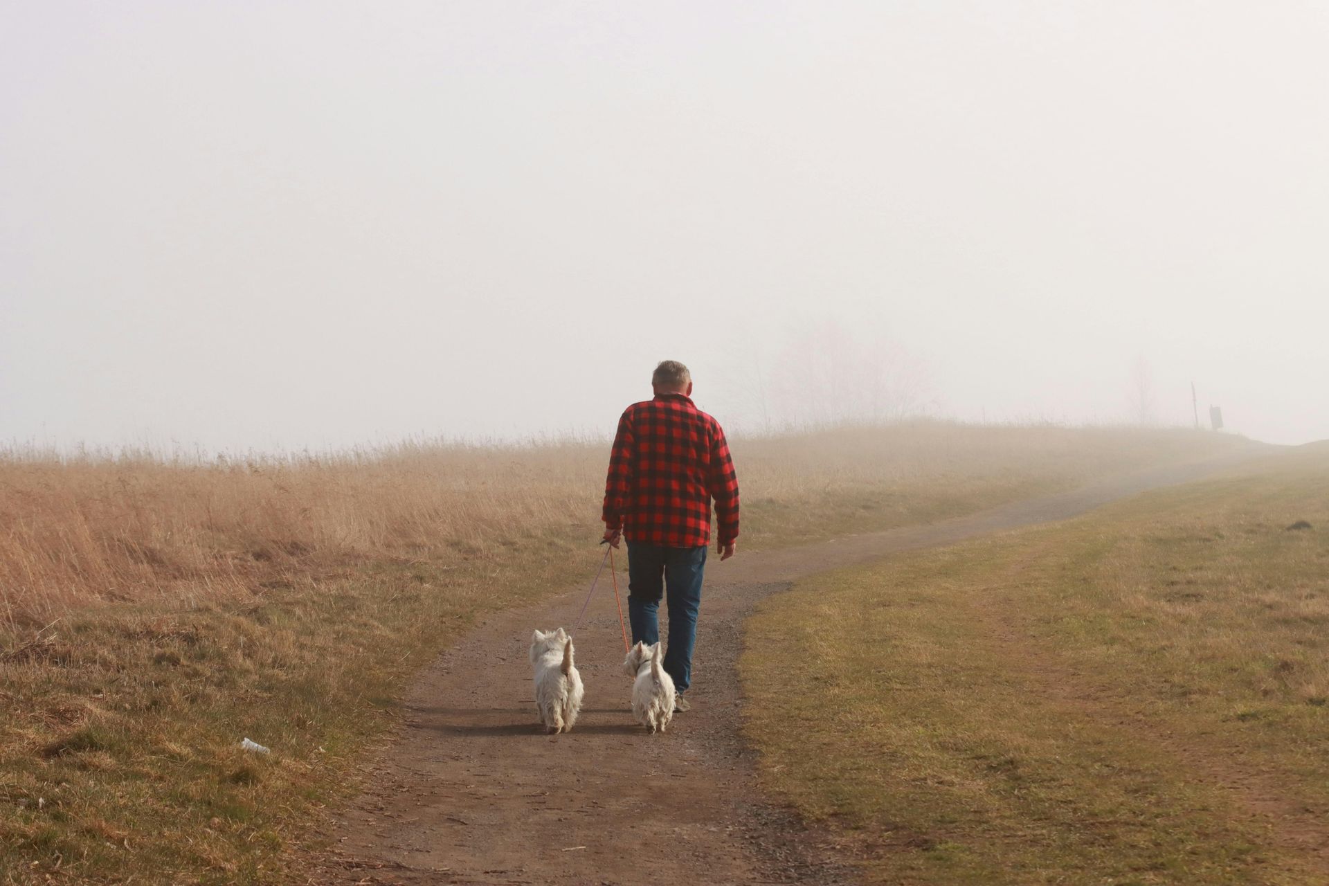 Person walking through fog on forest path symbolizing dark night of the soul, inner transformation.