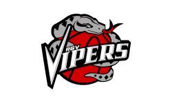 Logo of the RGV Vipers basketball team. A gray snake wraps around a red basketball, with the team name in white letters.