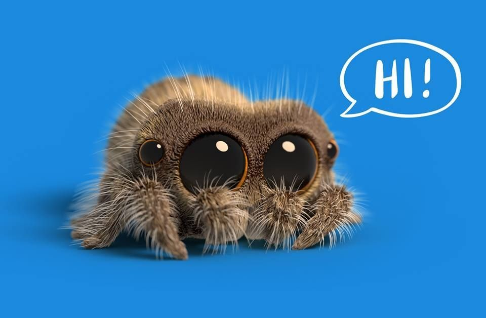 Fluffy cartoon spider with large eyes says “Hi!” on a blue background.