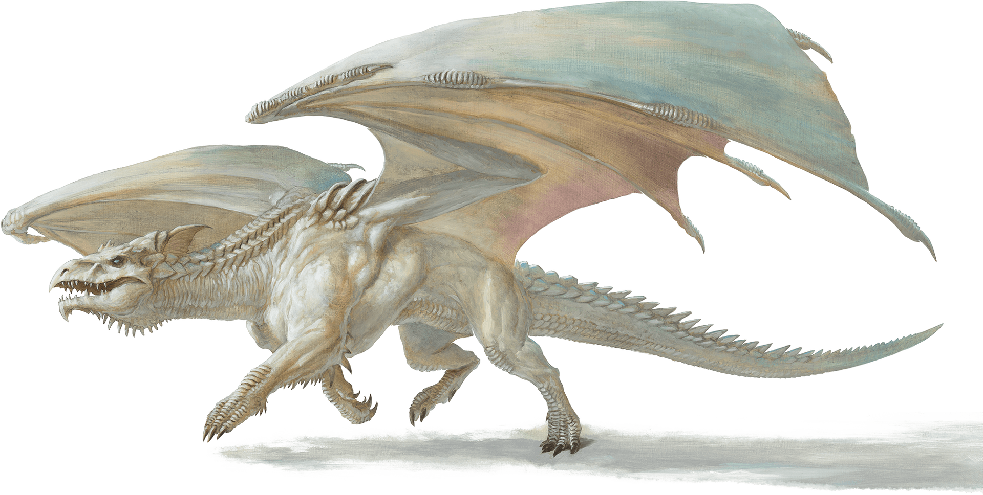 White dragon with pale wings, running, mouth open, setting unknown.