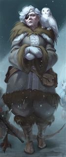 A person with an eye patch, bundled in fur, with a snowy owl on their shoulder. Winter setting.