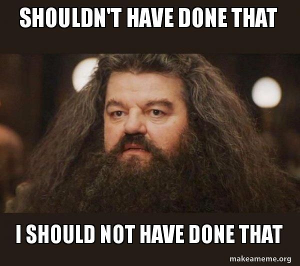 Hagrid with serious expression; text above reads