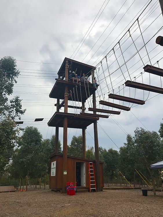 A ropes course is being built in the middle of a forest.