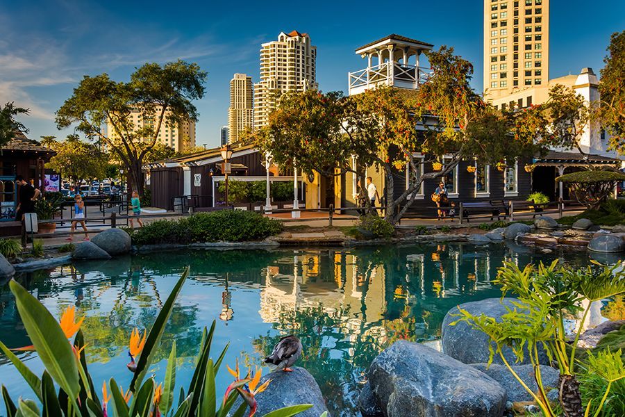 A pond in a park with a city in the background.