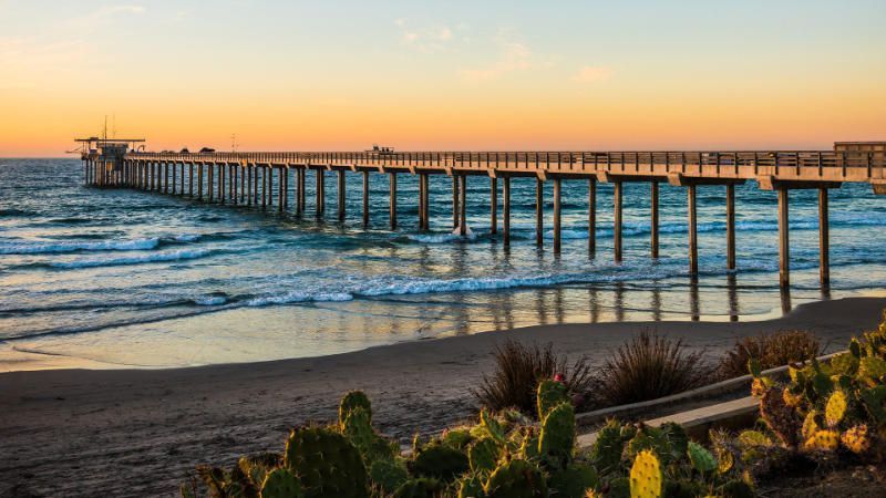 A pier leading into the ocean at sunset with a cactus in the foreground.