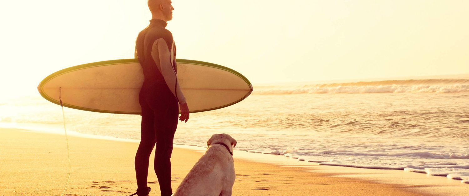 A man is holding a surfboard and a dog is sitting on the beach.