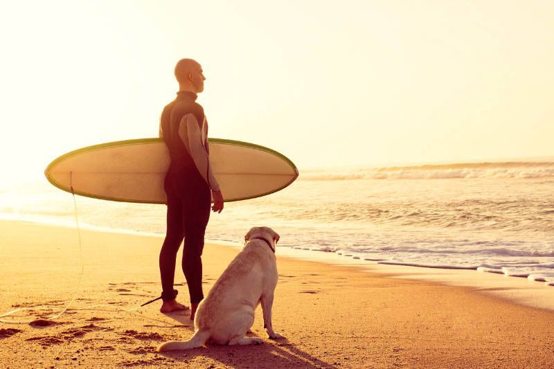 A man is holding a surfboard and a dog is sitting on the beach.