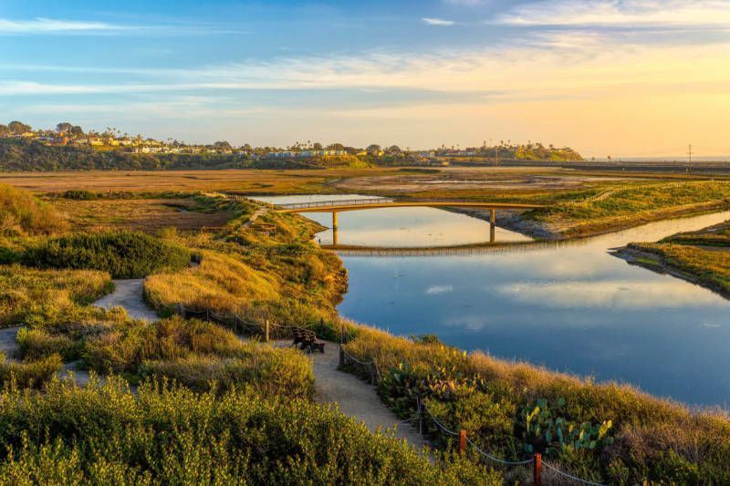 There is a bridge over a river in the middle of a swamp.