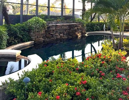 A large swimming pool surrounded by flowers and plants
