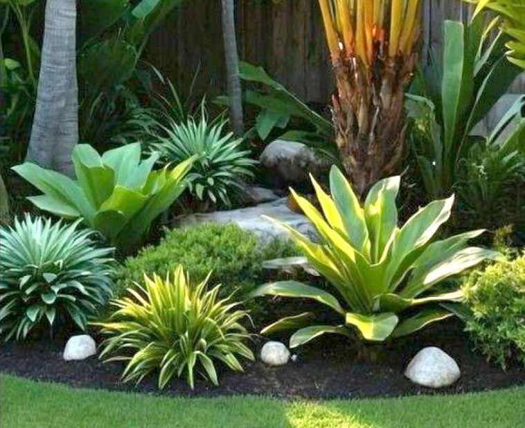 A lush green garden with a palm tree in the middle