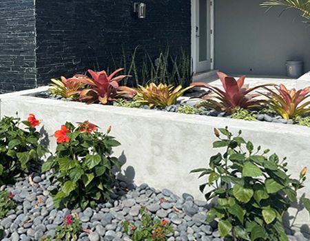 A garden with flowers and rocks in front of a house.