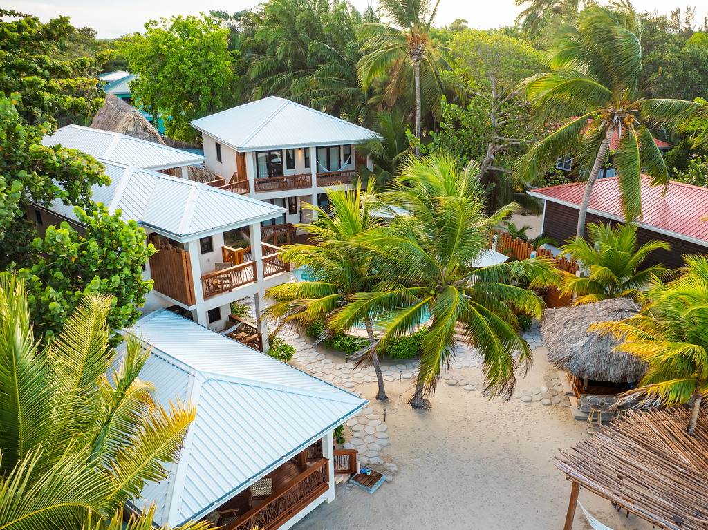 An aerial view of a tropical resort surrounded by palm trees.