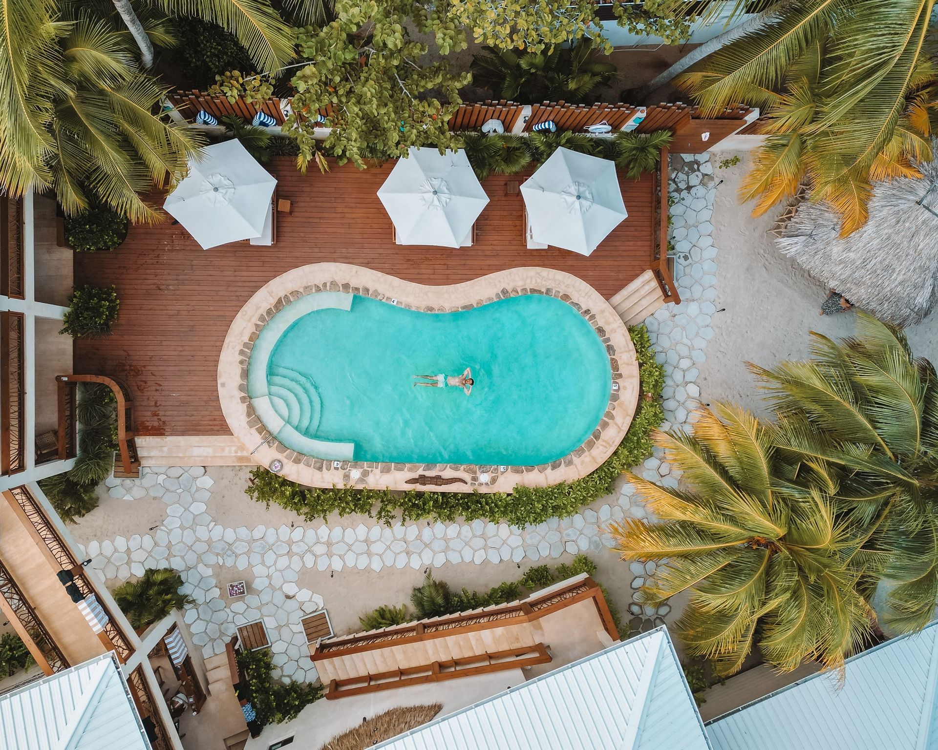 An aerial view of a swimming pool surrounded by palm trees