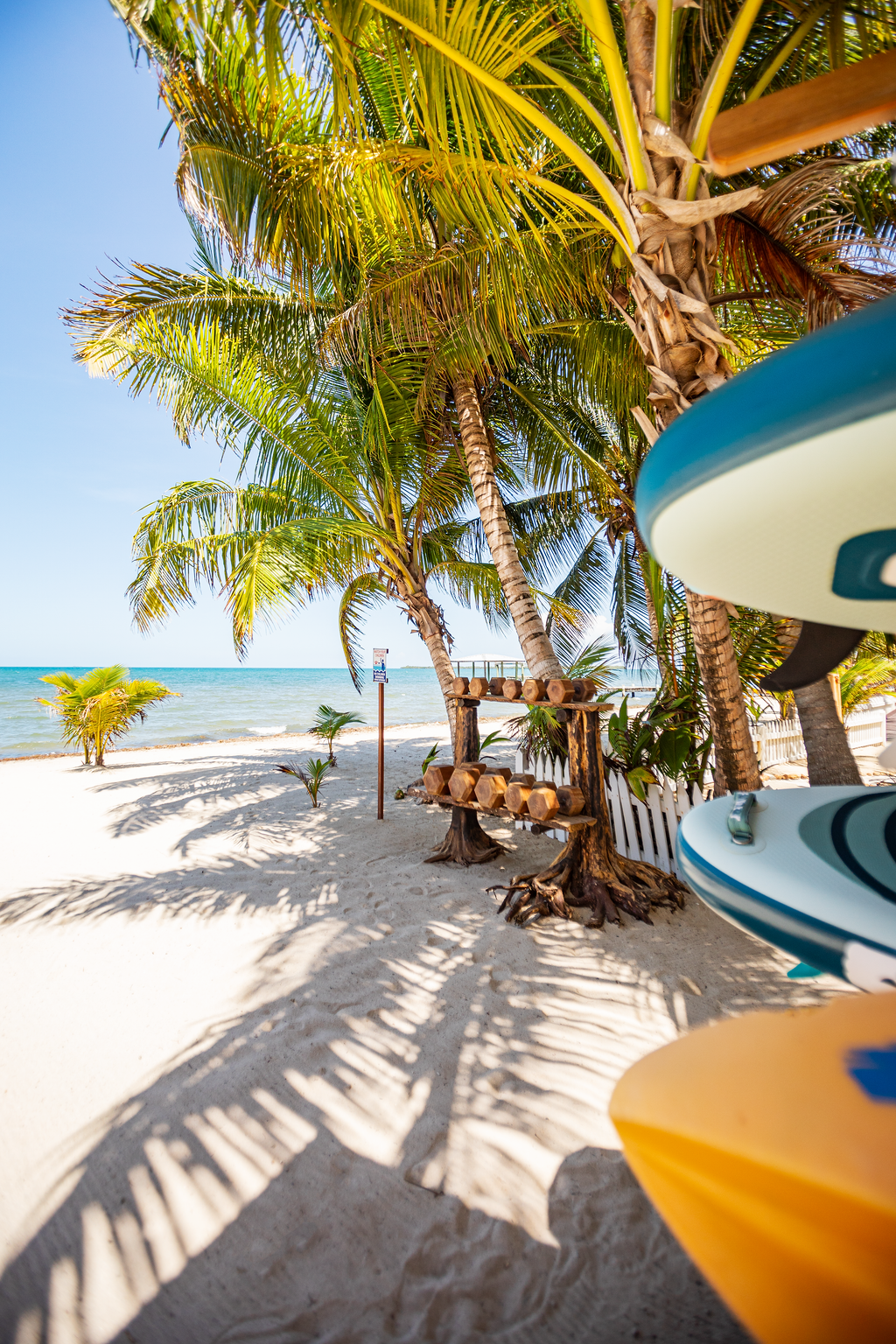 A row of surfboards sitting on top of a sandy beach next to palm trees.