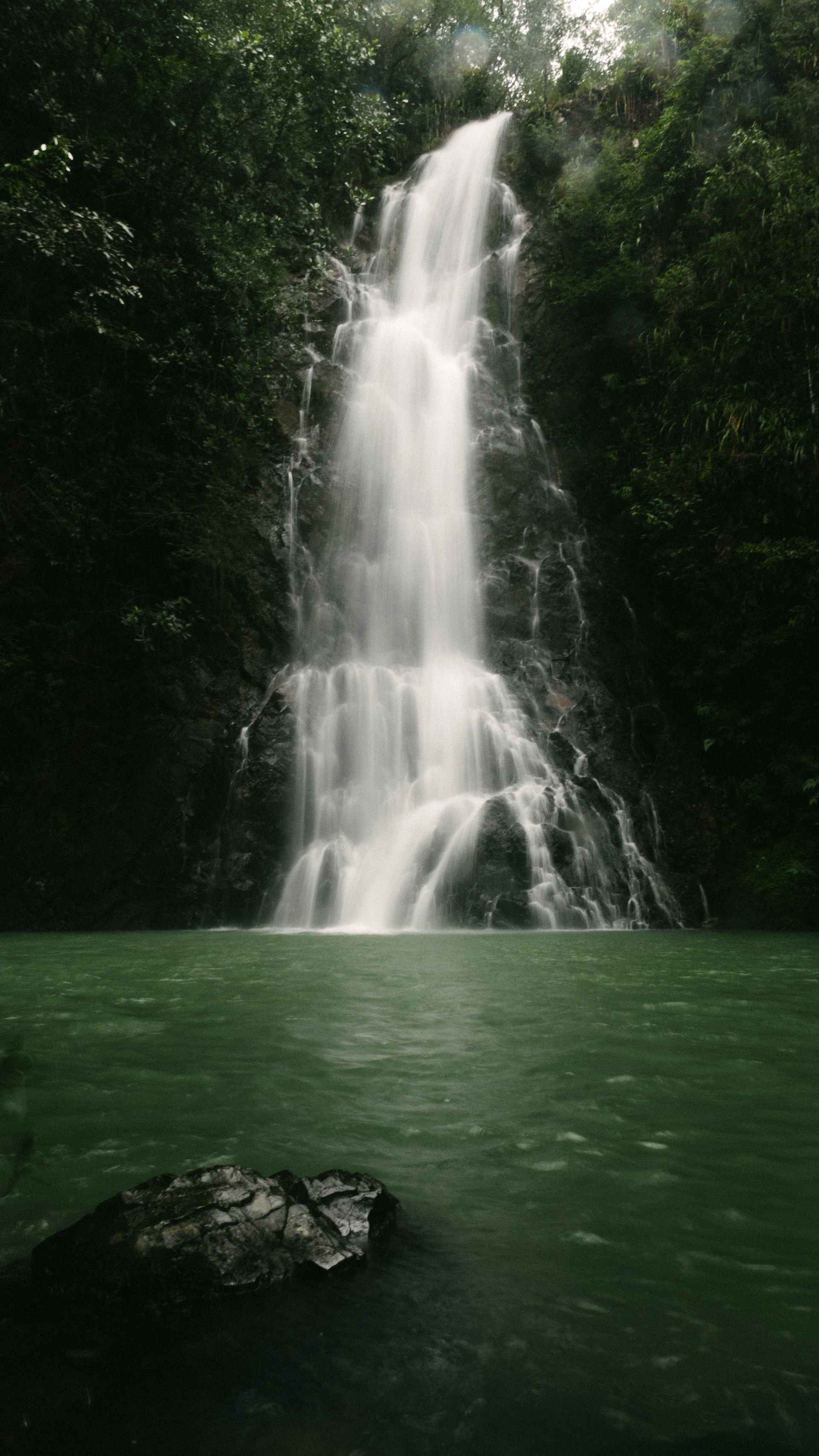 Waterfall cascading into a green pool, surrounded by lush, dark green foliage.