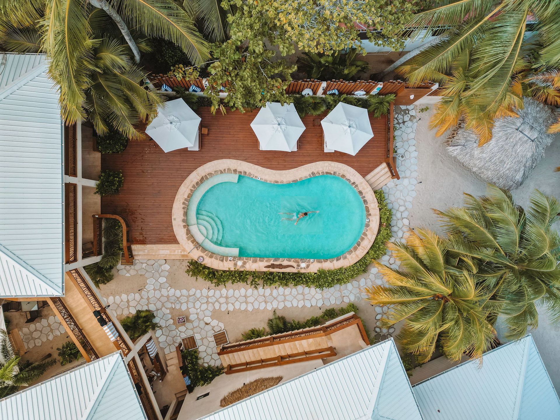 Aerial view of a pool surrounded by buildings, palm trees, and white umbrellas.