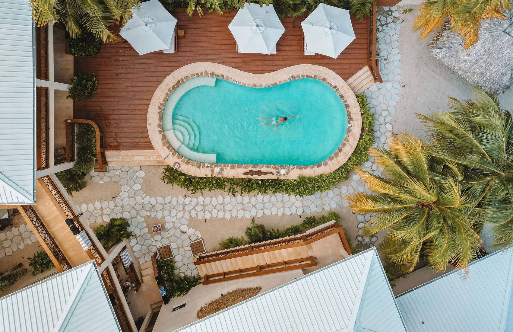 Overhead view of a swimming pool surrounded by buildings, palm trees, and three umbrellas.