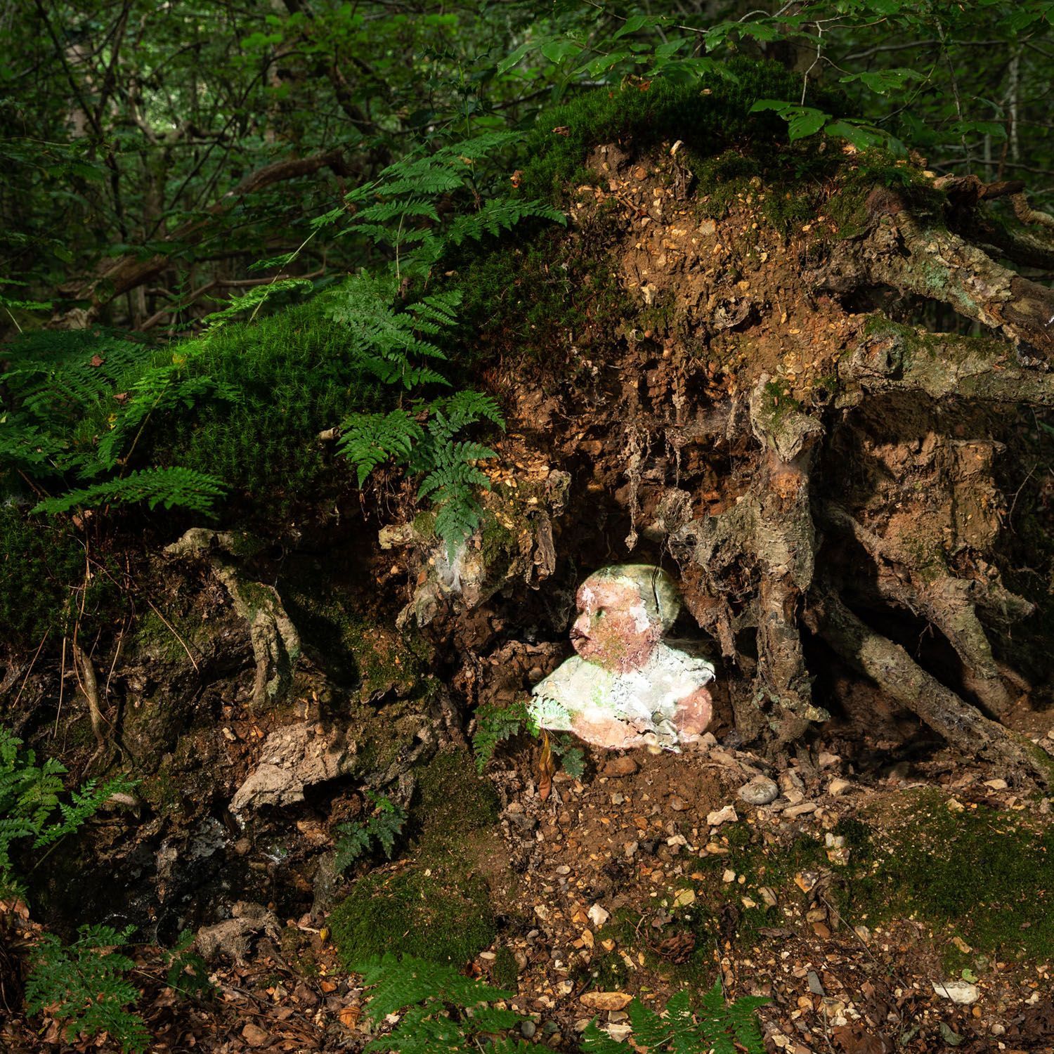 In Folklore the Forest is a place of danger but also a place of safety.
The Babes in the Wood series draws on the old stories of vulnerable infants and children who were lost in the forest.