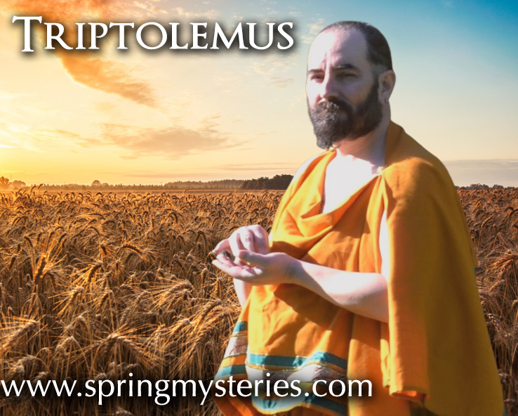 A man in a yellow robe is standing in a field of wheat, representing Triptoelmus