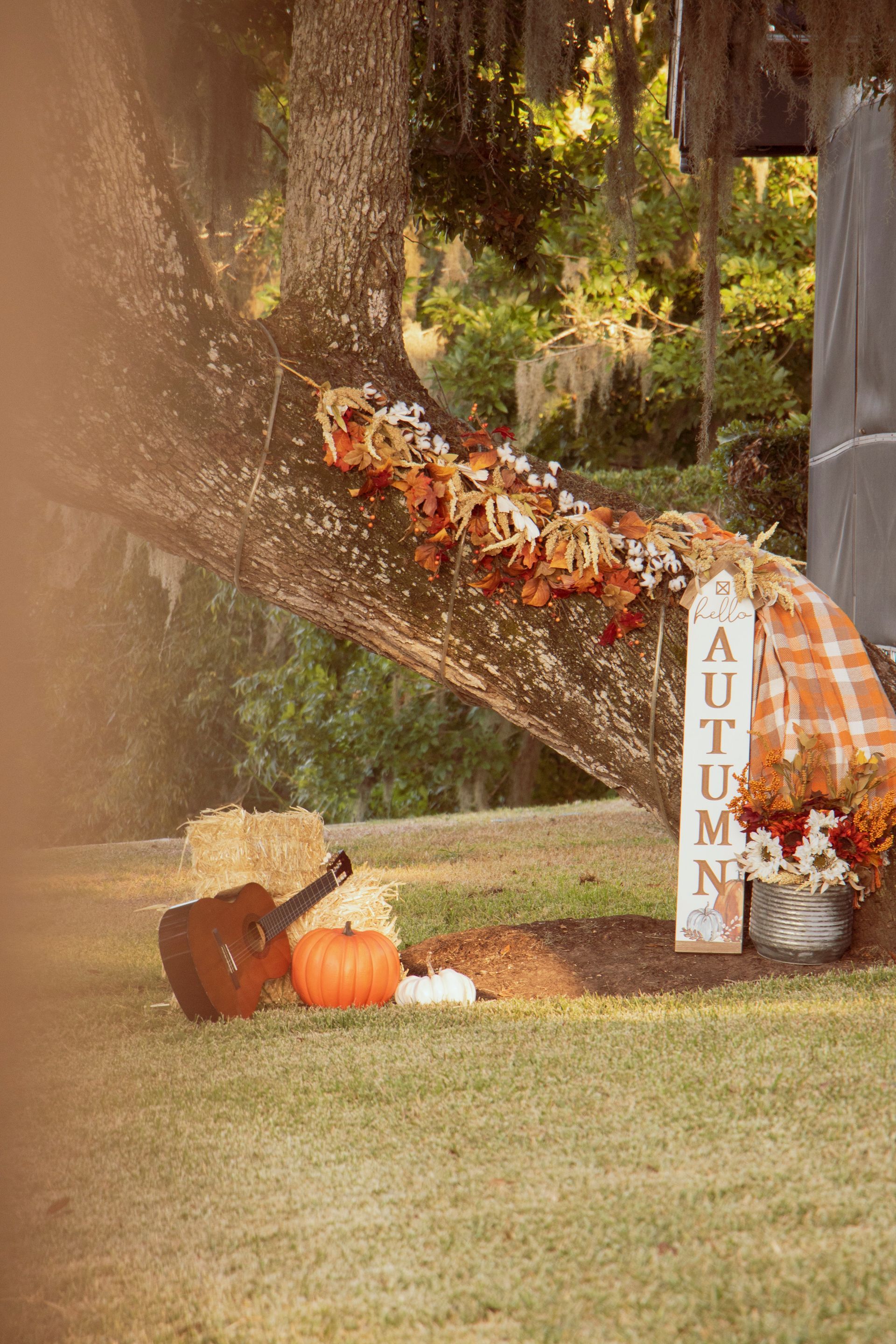 a tree branch is decorated for autumn with pumpkins , flowers , and a guitar .