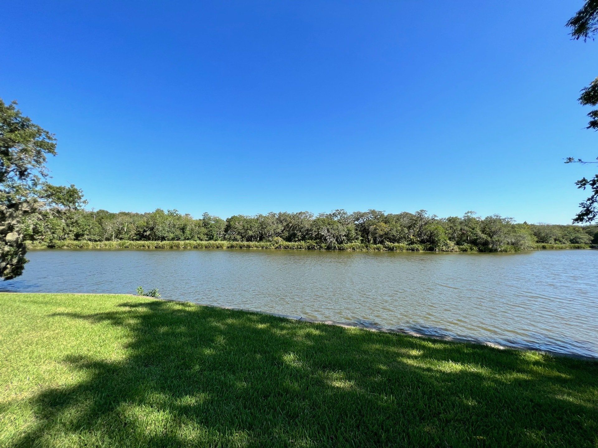 a large body of water surrounded by trees on a sunny day