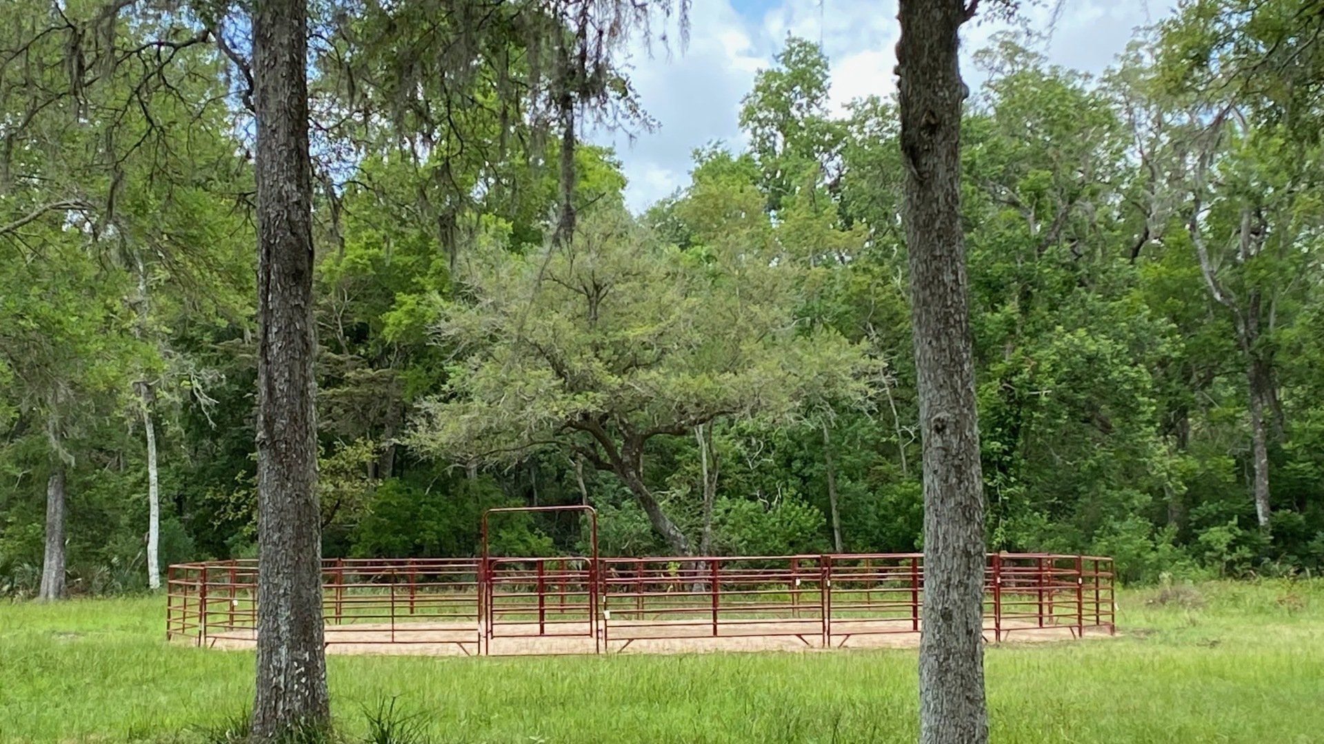 a picnic area in the middle of a field with trees in the background .