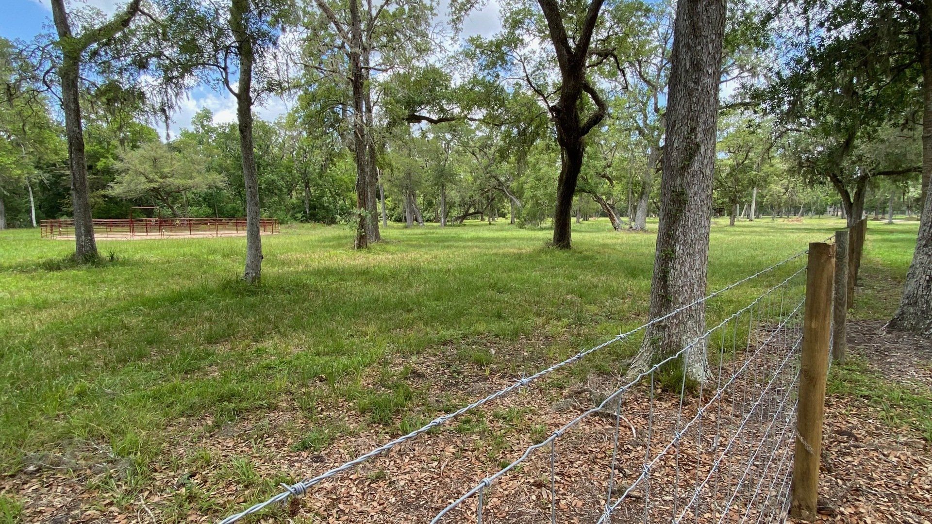 a barbed wire fence surrounds a grassy field with trees in the background .