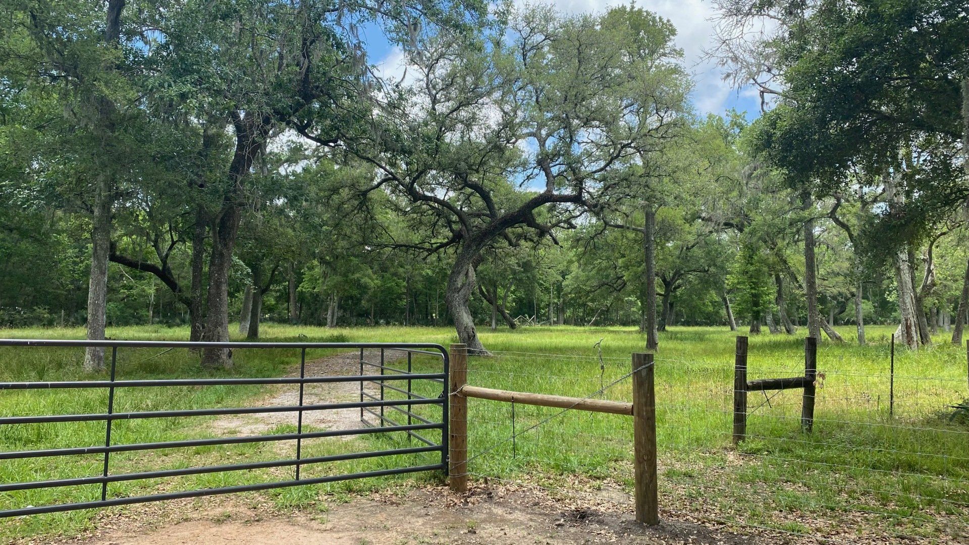 there is a fence in the middle of a field with trees in the background .