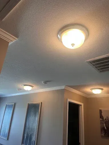 Ceiling lights in a hallway with crown molding. Beige walls and two framed paintings are visible.