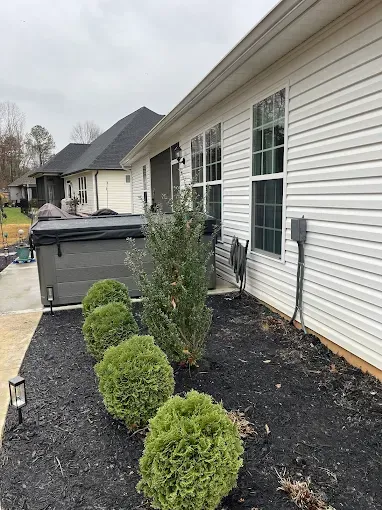 Exterior of a house with landscaping, including round green shrubs, black mulch, a hot tub, and a small cat.