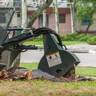 Tree Stump Removal — Pittsburgh, PA — Best 4 Less Trees