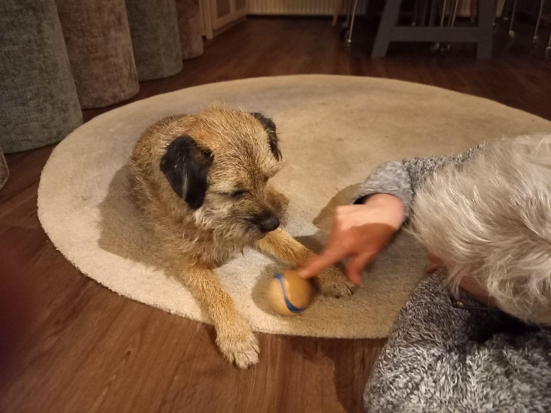 Contact met dieren: Neem vandaag nog contact op!