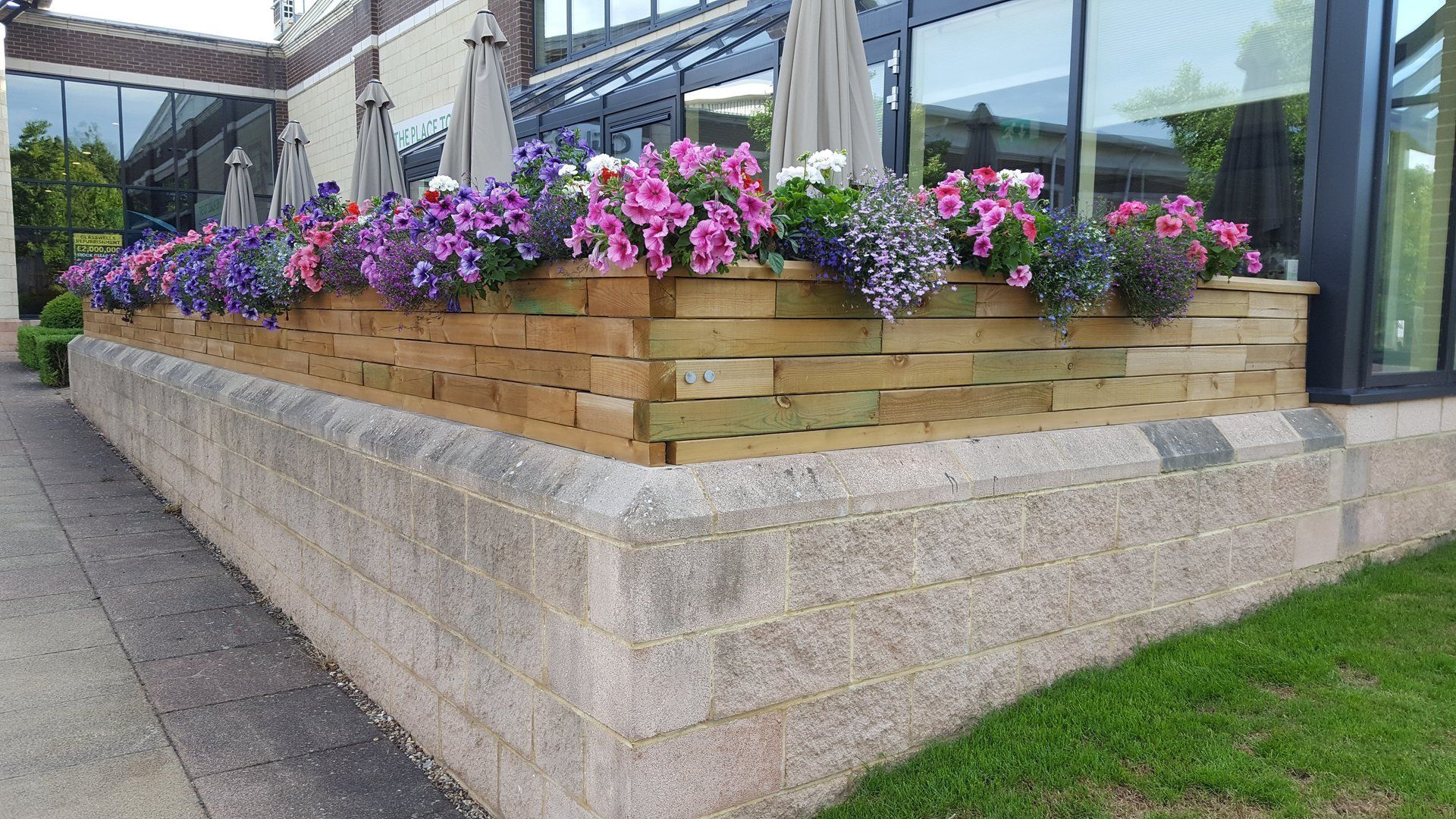pink/purple/blue flowers in a wooden raised planter