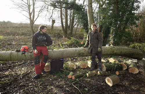 Specialist cutting the log with the help of machine
