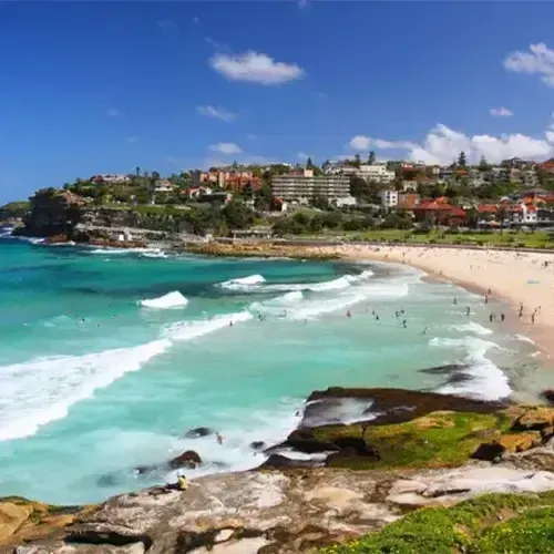 bronte