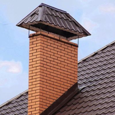 chimney nest removal