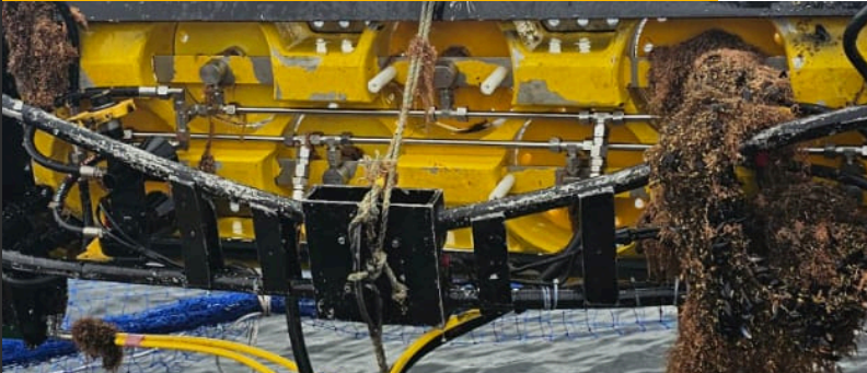 Servicios Isla Magdalena