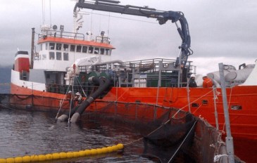 Servicios Isla Magdalena