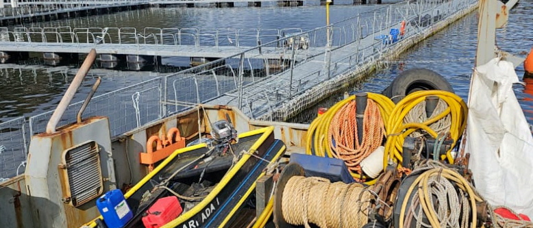 Servicios Isla Magdalena