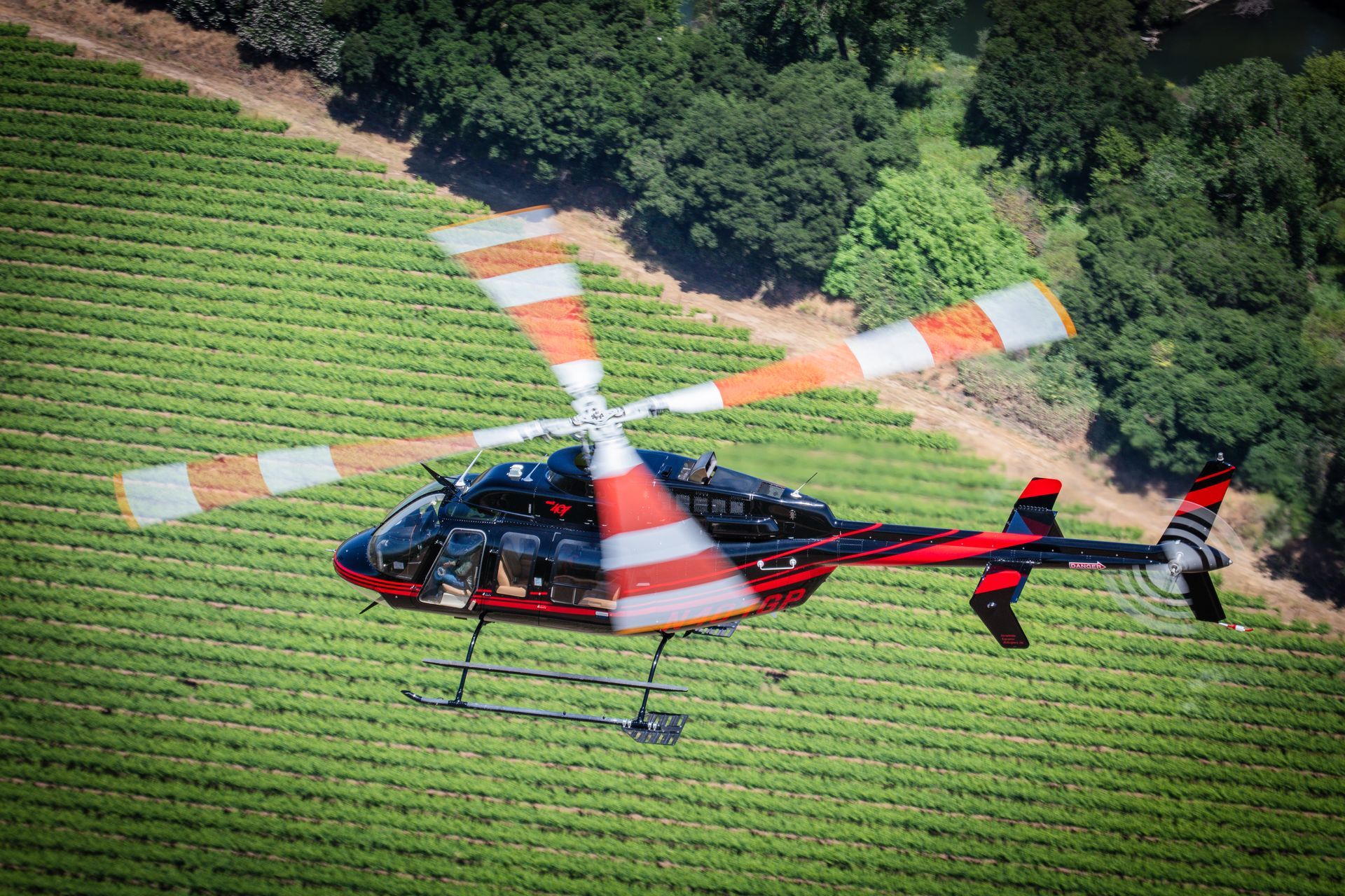 A red and white helicopter is flying over a vineyard.