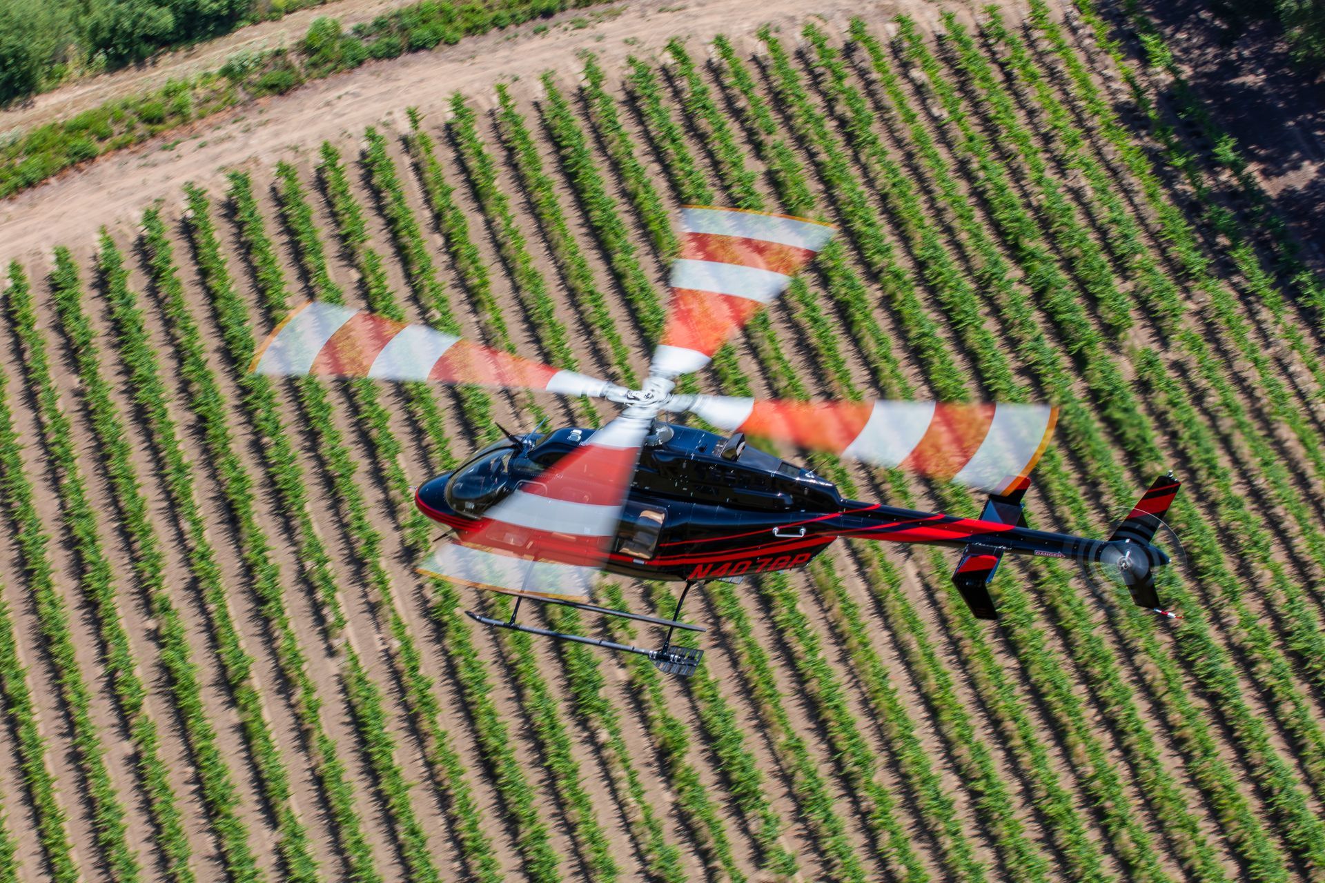 An aerial view of a helicopter flying over a vineyard.