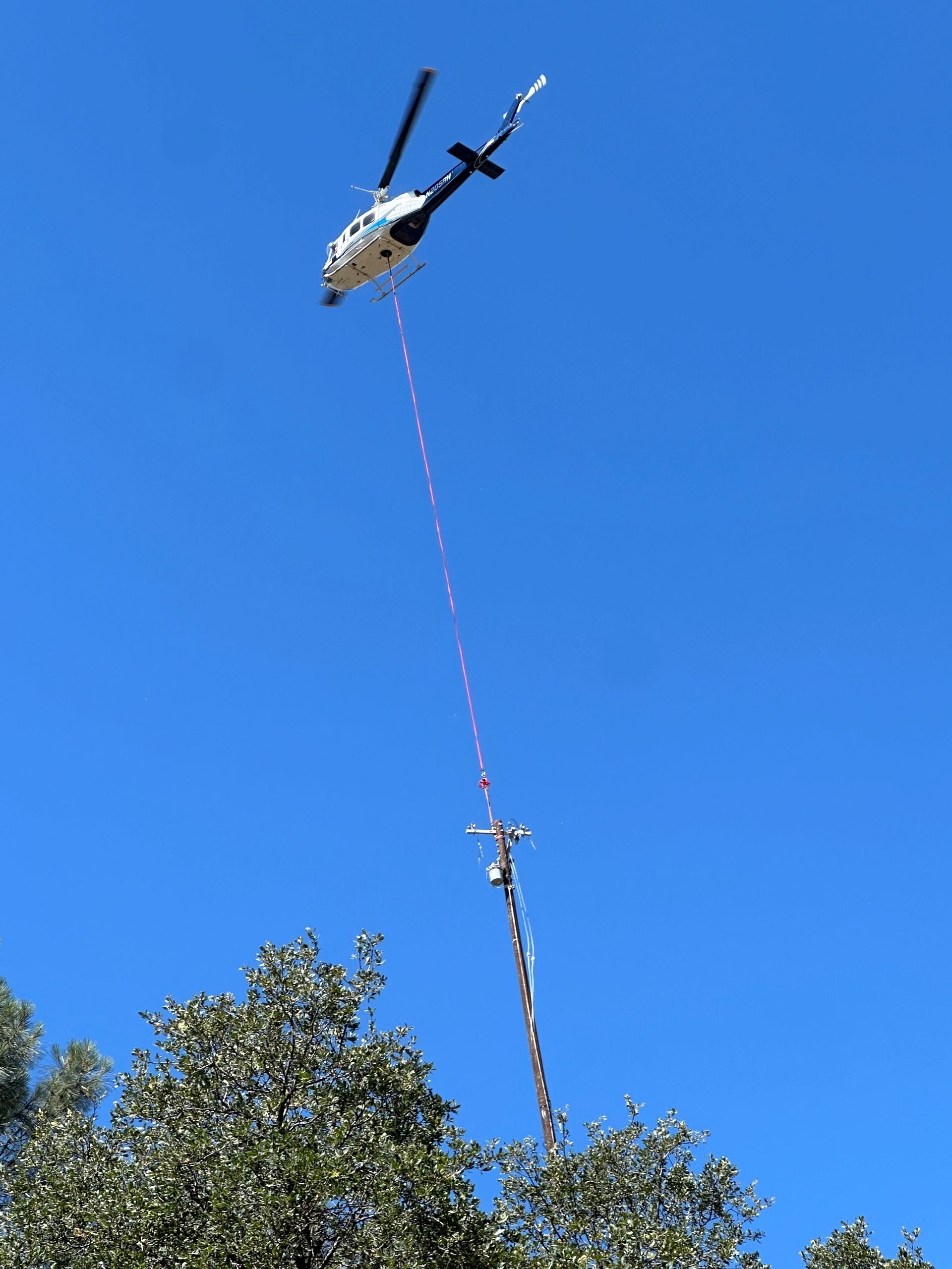 A helicopter is flying over a tree with a rope attached to it