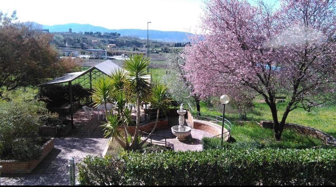 anziano in carrozzella in casa di riposo