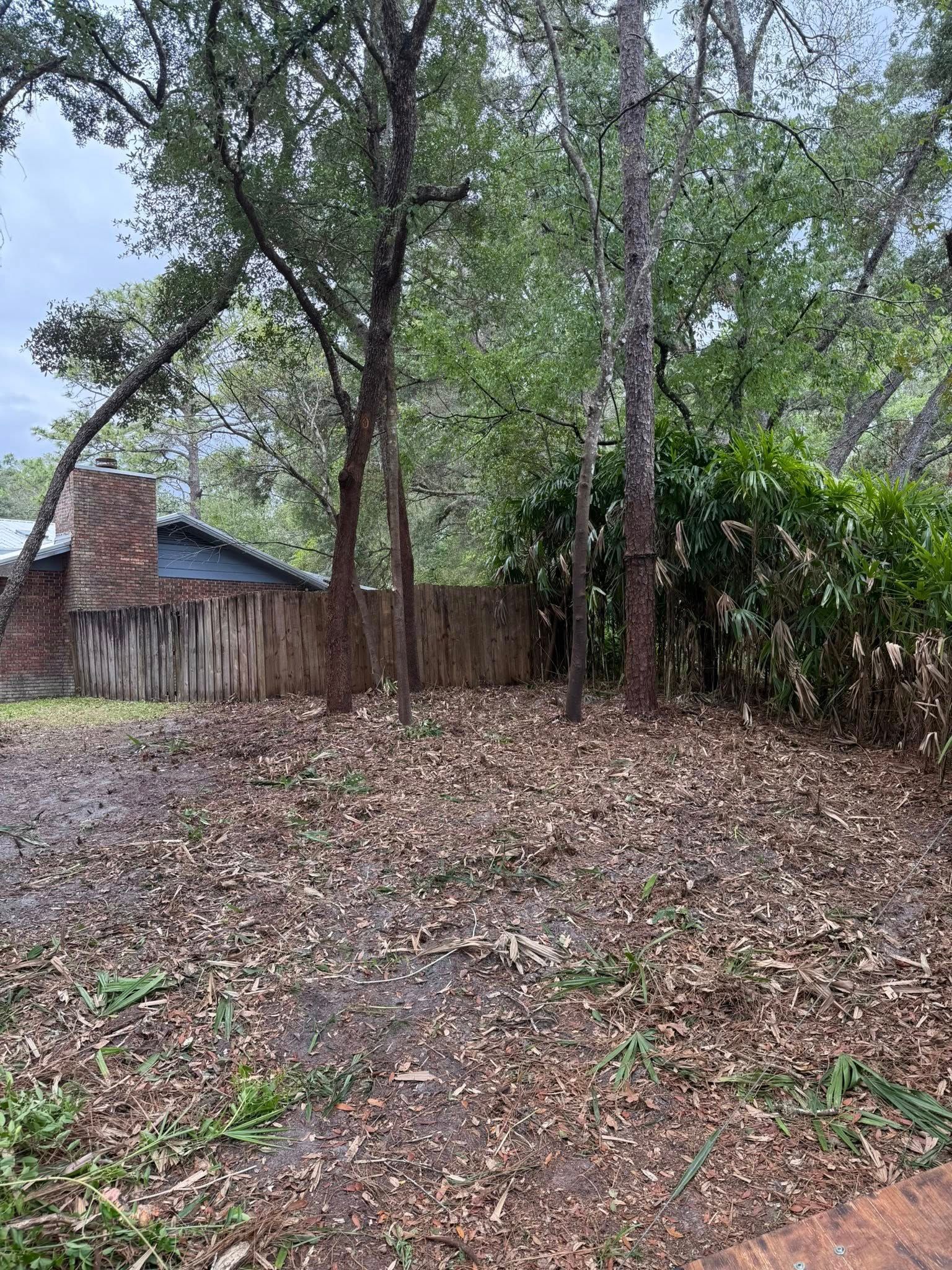 A backyard with a wooden fence, trees, and a brick chimney. The ground is covered in fallen leaves.