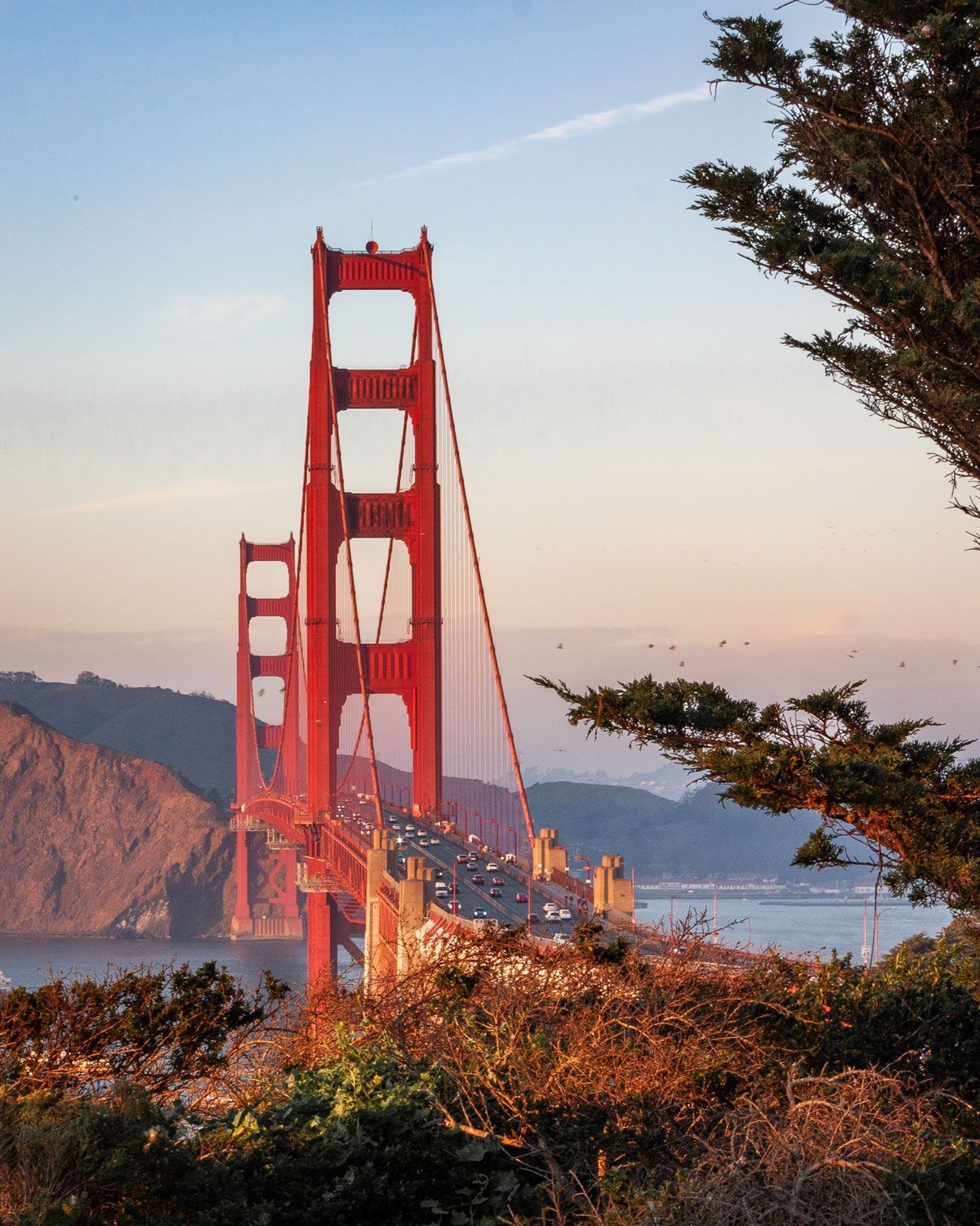 Photo of san francisco bridge