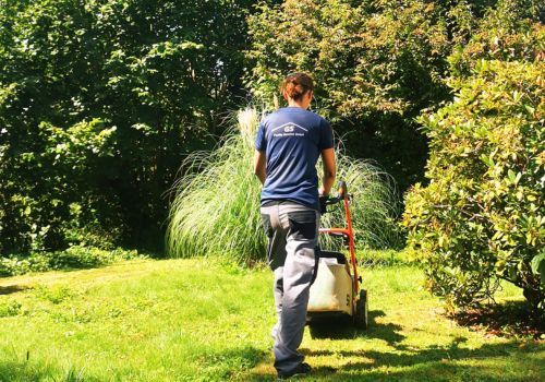 Eine Person mäht in einem grünen Garten mit einem Handrasenmäher einen sonnenbeschienenen Rasen.