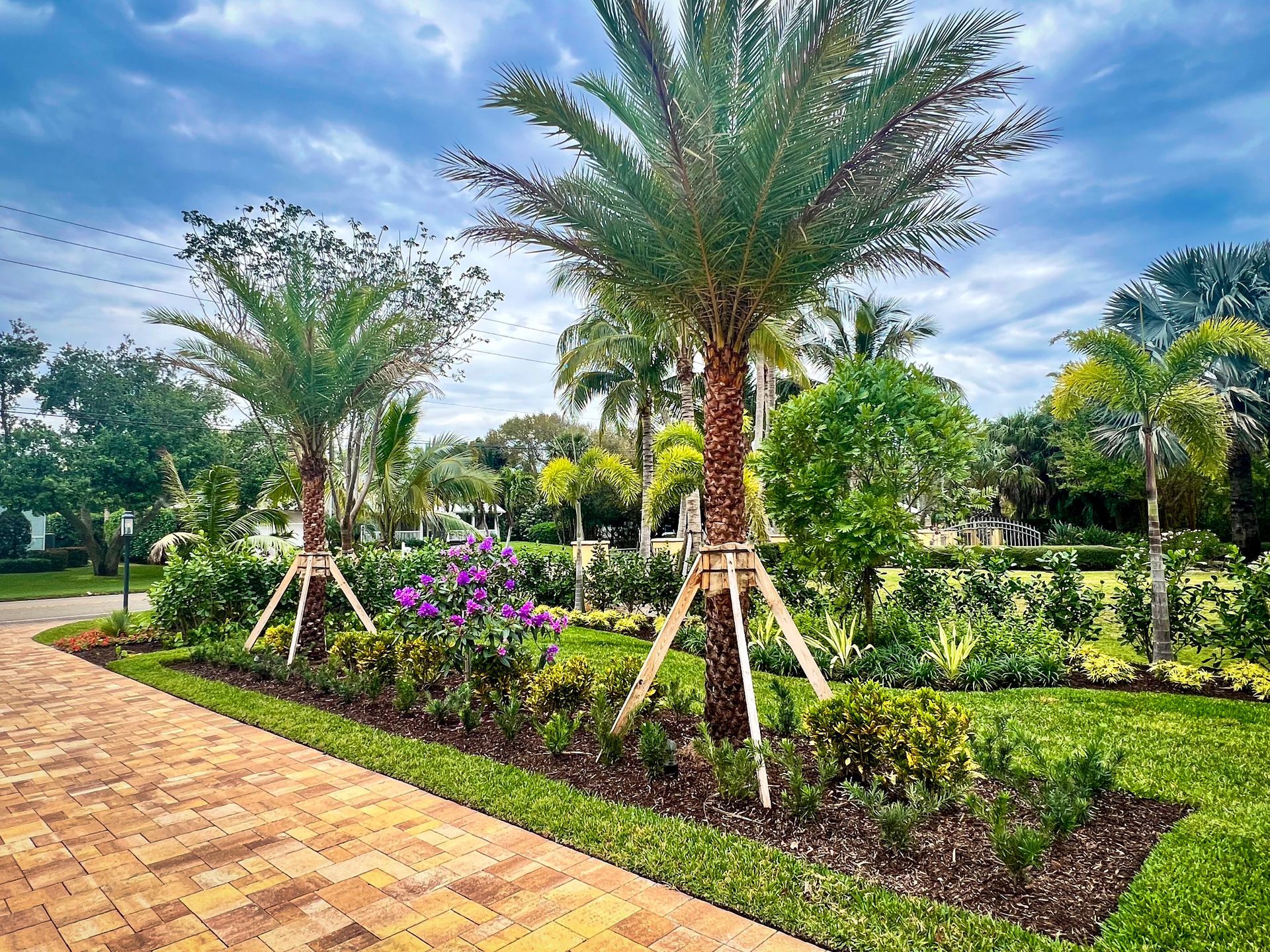 Clean Lines of Contemporary Design