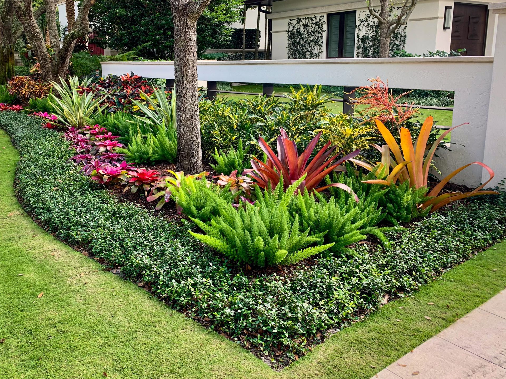 Tropical Designs Feature Bold Colors 
