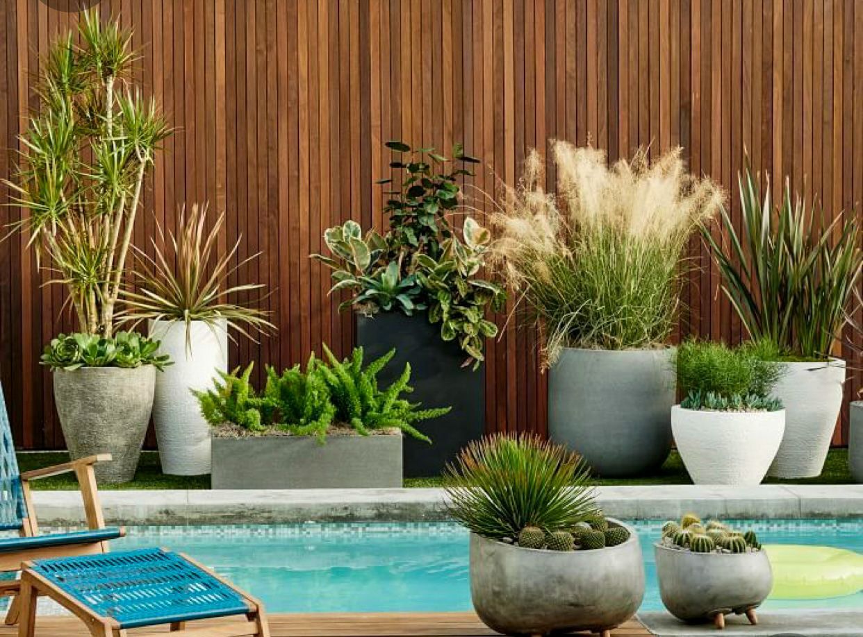 Zen Garden Landscape Design